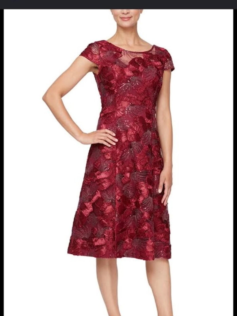 Alex Evenings Cranberry Red Embroidered Sequin Cocktail Dress